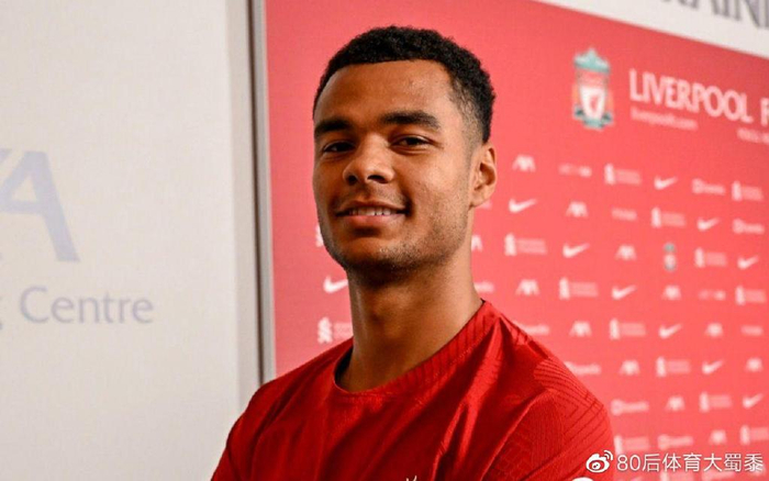 据了浓墨重 据了浓墨重